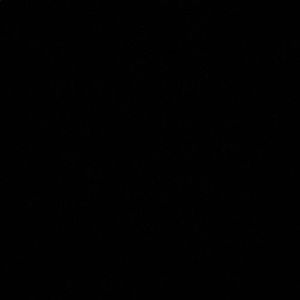 Meet your Posher, Natalia